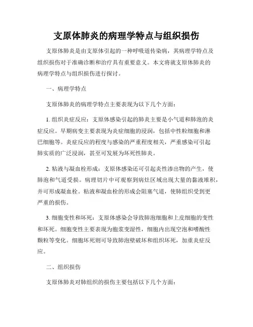 支原体肺炎的病理学特点与组织损伤