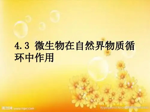 微生物在自然界物质循环中的作用