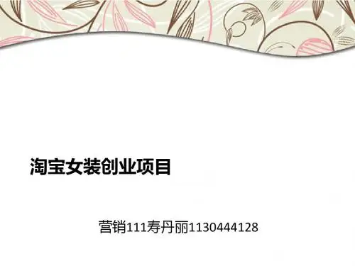 淘宝女装创业项目分析(ppt46张)