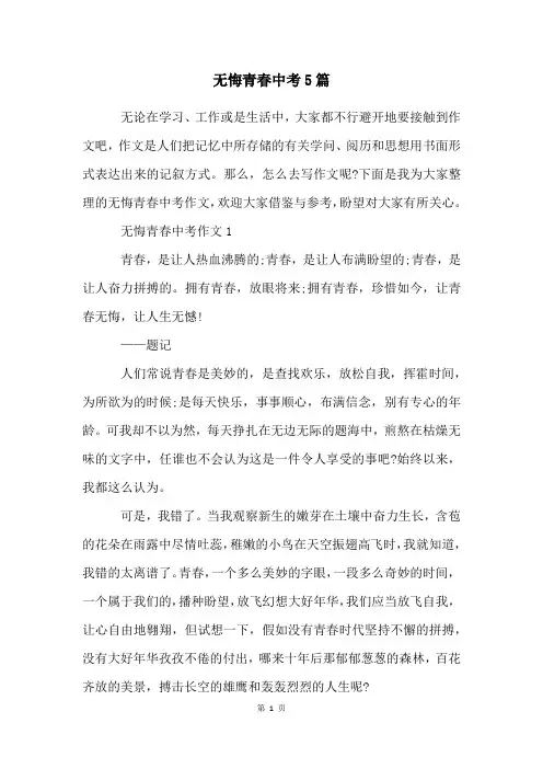 无悔青春中考5篇