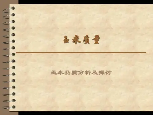 玉米质量