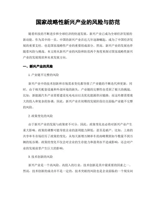 国家战略性新兴产业的风险与防范