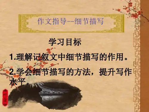 作文指导：细节描写ppt课件(17页)