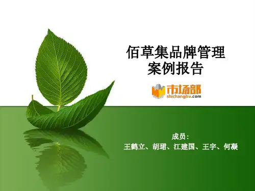 佰草集品牌管理案例报告.