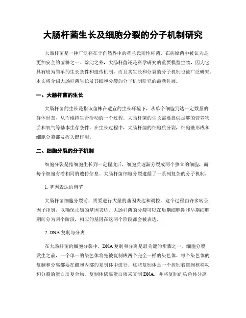 大肠杆菌生长及细胞分裂的分子机制研究