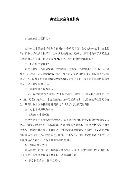 实验室安全自查报告