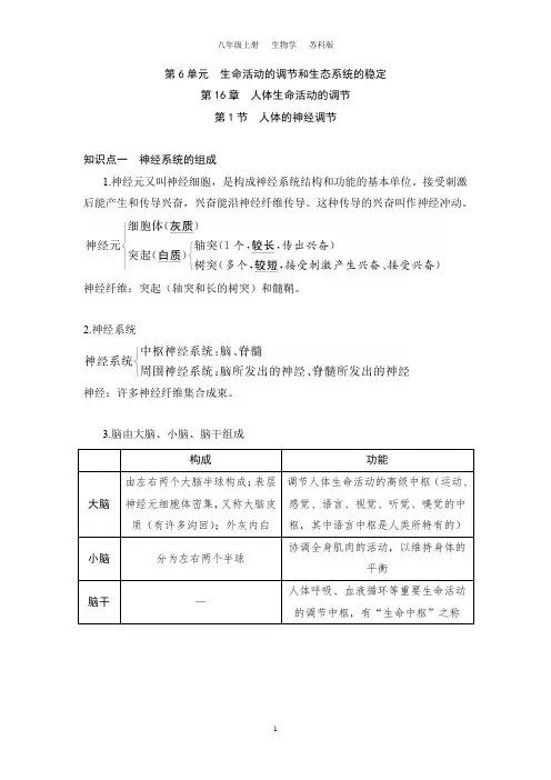 6.16.1 人体的神经调节(八上生物苏科)