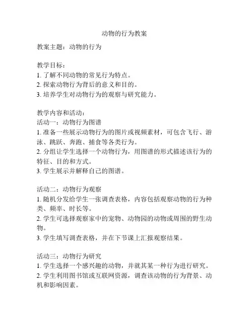 动物的行为教案