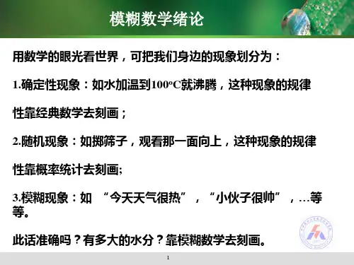 模糊数学教学课件