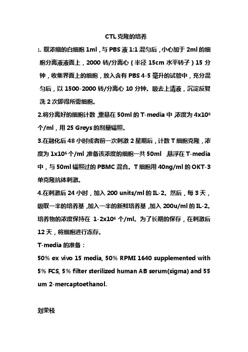 CTL克隆的培养