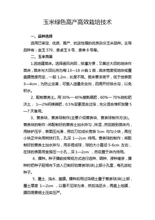 玉米绿色高产高效栽培技术