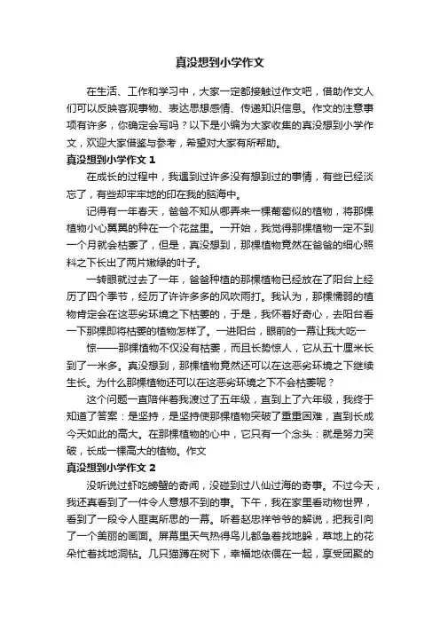 真没想到小学作文5篇