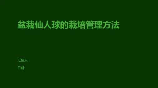 盆栽仙人球的栽培管理方法