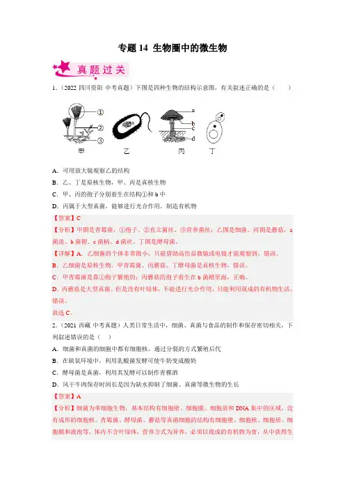 专题14 生物圈中的微生物(习题帮)(解析版)