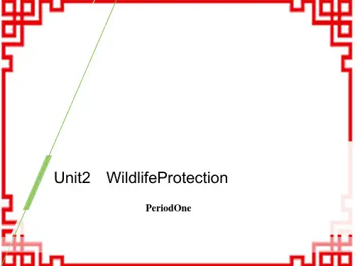 人教版高中一年级英语必修二 《Wildlife Protection》Period One PPT 