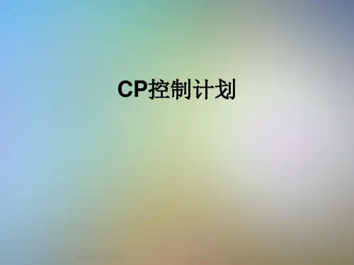 CP控制计划