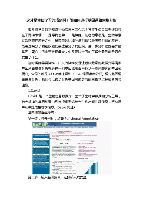 这才是生信学习的精髓啊！附如何进行基因通路富集分析