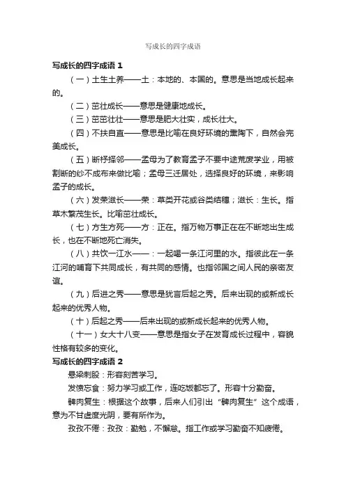 写成长的四字成语