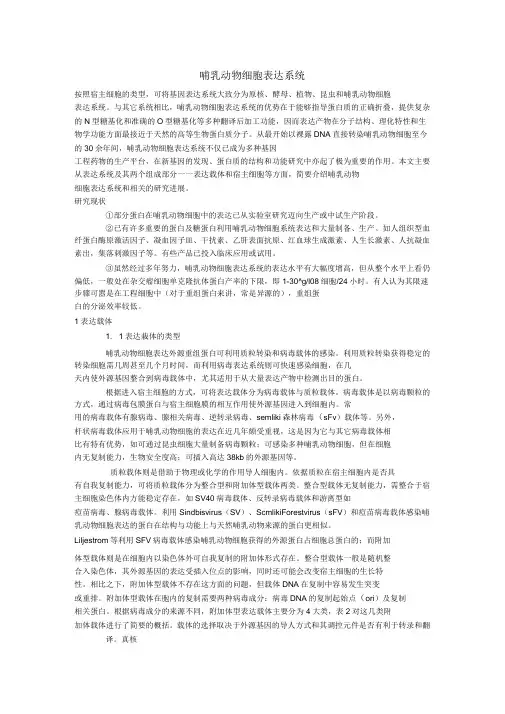 哺乳动物细胞表达系统