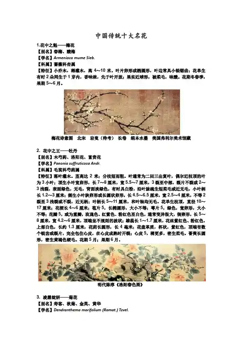 中国十大名花