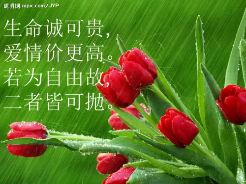 语文北师大版必修二1.3《我愿意是急流》课件(共53张PPT)