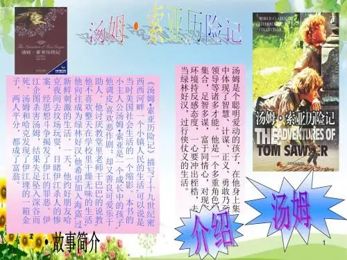 小学六年级下学期语文第17课汤姆·索亚历险记PPT课件