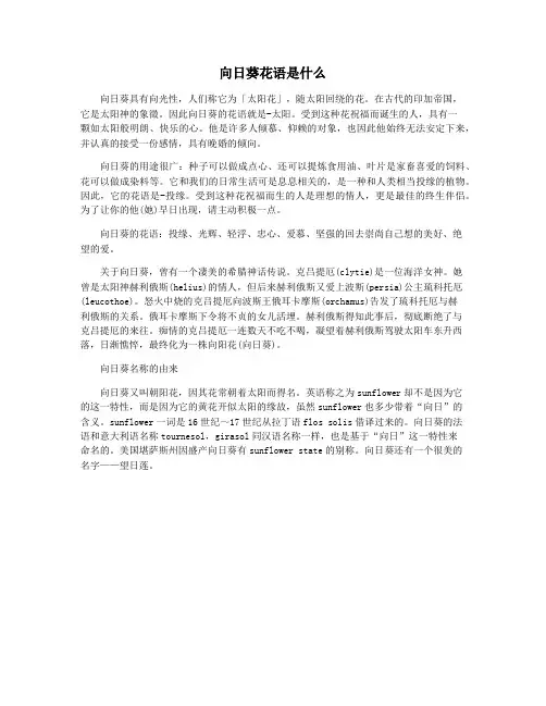 向日葵花语是什么
