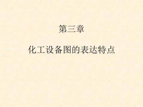 4化工制图CAD化工设备图的表达特点