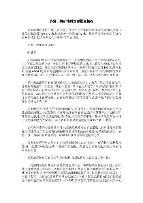 多宝山铜矿地质资源勘查概况