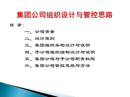 集团公司组织结构设计方案
