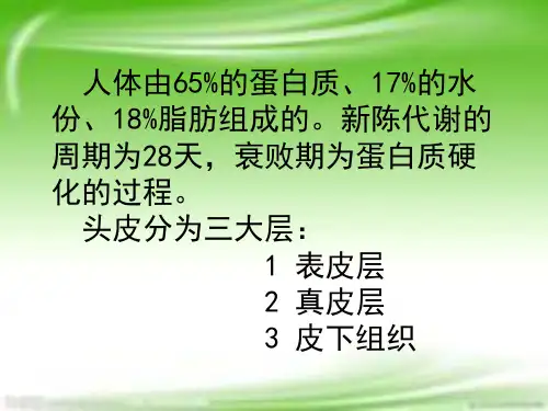 头皮生理学