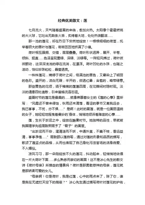 经典优美散文：莲