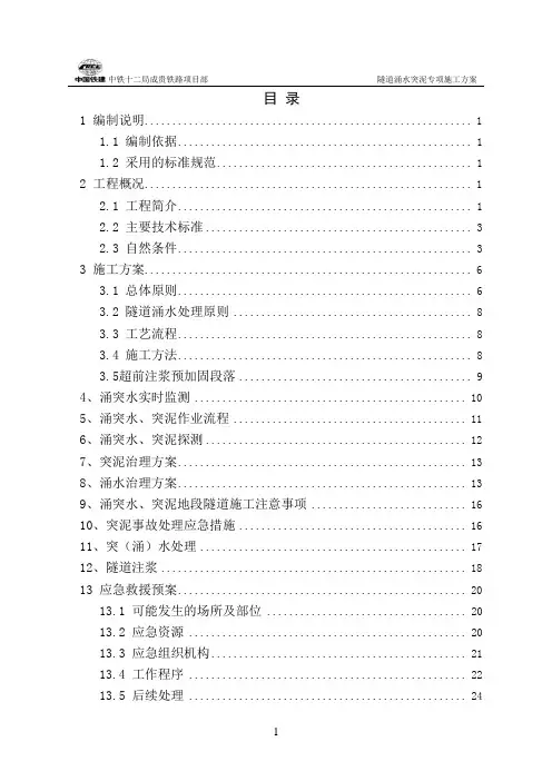 11标隧道涌水突泥专项施工方案