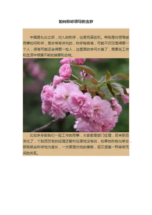 如何称呼领导的玄妙
