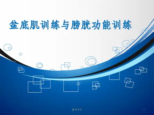 膀胱训练(1)