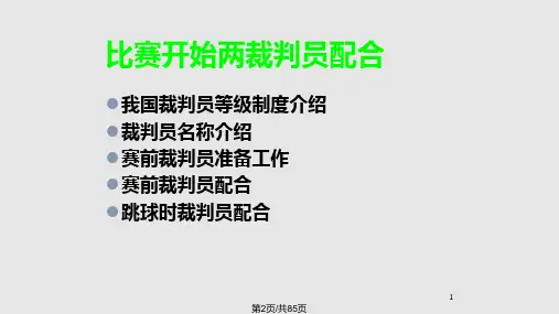 篮球比赛裁判培训
