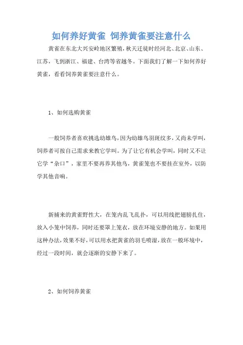 如何养好黄雀 饲养黄雀要注意什么