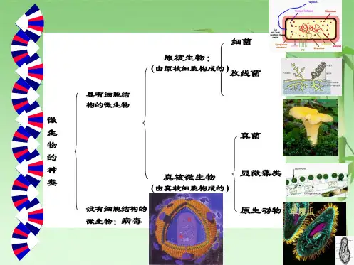 环境微生物学(共94张PPT)