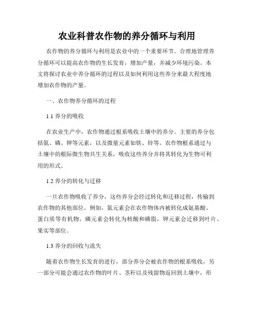 农业科普农作物的养分循环与利用