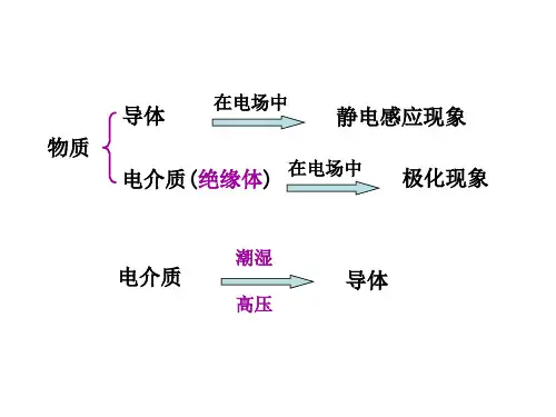 第十章 静电场中的导体和电解质