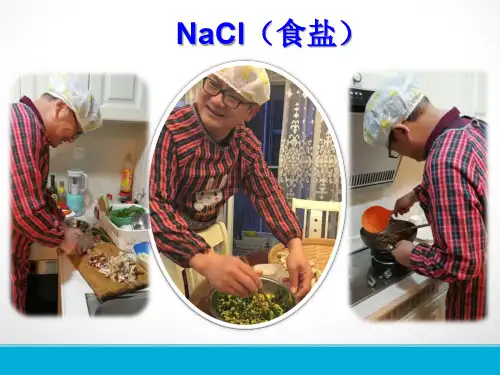 九年级化学生活中常见的盐课件PPT