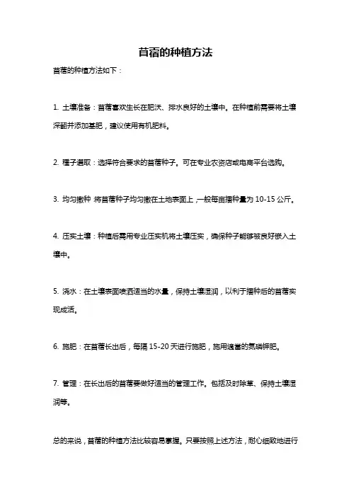 苜蓿的种植方法