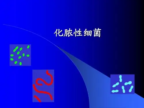 化脓性细菌