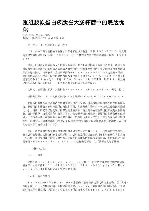 重组胶原蛋白多肽在大肠杆菌中的表达优化