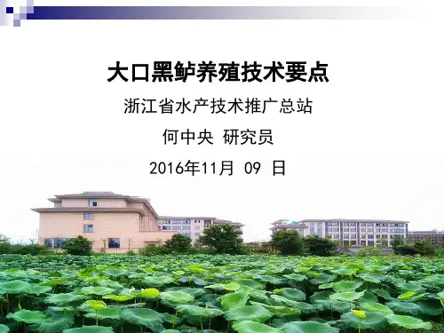 大口黑鲈养殖技术