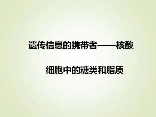高中生物《核酸、糖类和脂质》优质教学课件