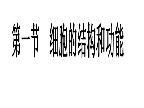 1.2.1 细胞的结构和功能  (共34张PPT) - 副本