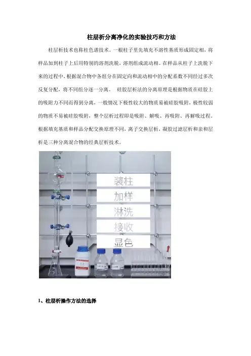柱层析分离净化的实验技巧和方法
