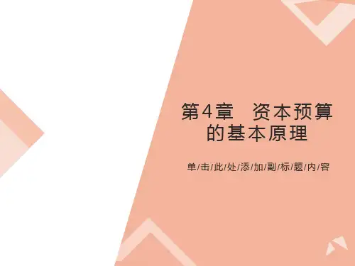 资本预算的基本原理