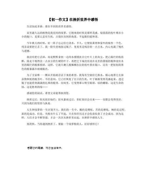 【初一作文】在挫折世界中感悟